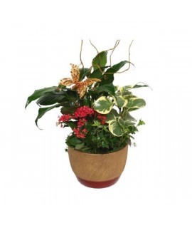 Happy Holiday's Planter